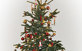 weihnachtsbaum-web